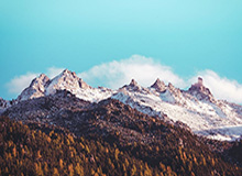 乐鱼官网:一站式娱乐与信息生态,开启全新生活方式